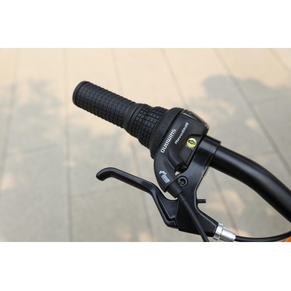 20 Inch Kids Bike Soft-tail Frame Red/Blue Training Wheels 3-8 Year Olds