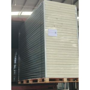 Cheap 75mm Panel Thickness Cleanroom Panels Offering 40dB Sound Insulation Designed for Cleanroom Walls Ceilings and Partition Systems for sale