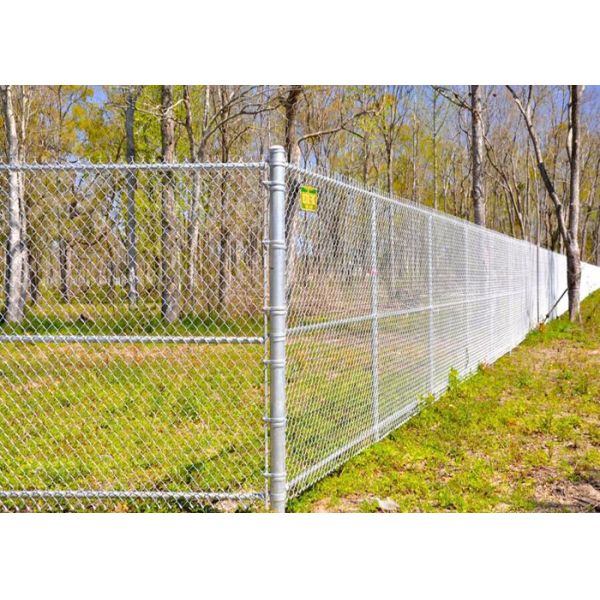 Multi PVC Color Driveway Chain Link Fencing With Steel Iron Wire Materials