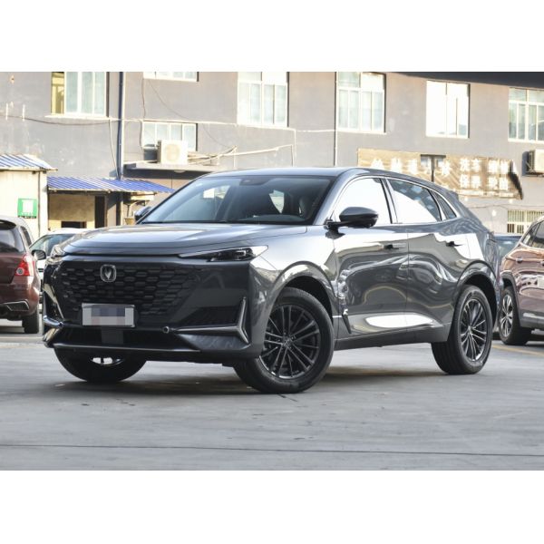 Quality Economic Antomatic& Manual Gasoline UNIK 2.0T Deluxe 2021 Version 5 Door 5 seats SUV wholesale