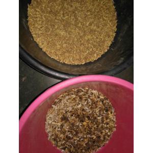 CCD Camera Optical Garlic Colour Sorting Peeling Garlic Removing Spotted Machine