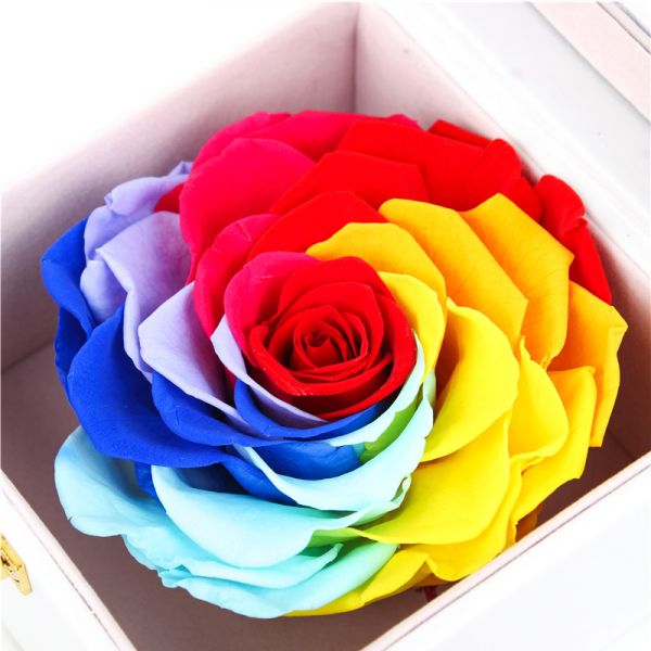 Quality 7-8CM Complex Colorful Preserved Rose Gift Box For Indoor Decoration wholesale