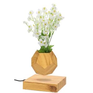 new magnetic levitate floating bottom air bonsai pot planter tree