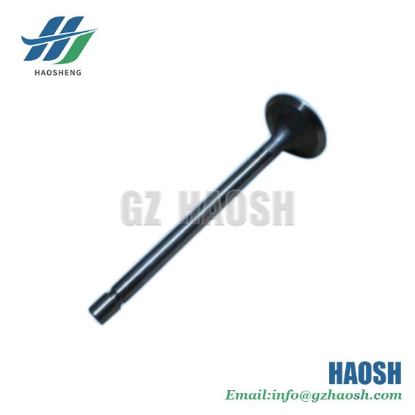 Quality FOR JMC VIGUS CN3-6507-AG Intake Valve CN3 6507 AG wholesale