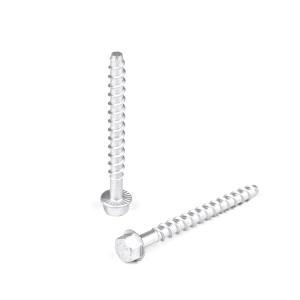 Contact Customer Service for Customized Support Stainless Steel Concrete Screw