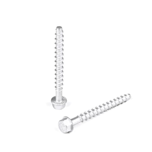 Quality Contact Customer Service for Customized Support Stainless Steel Concrete Screw Anchors wholesale