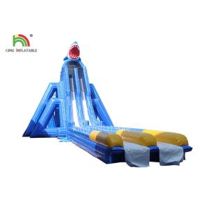 Cheap Anti - Tear Beach Giant Inflatable Water Slide Blue Double Lanes For Adults for sale