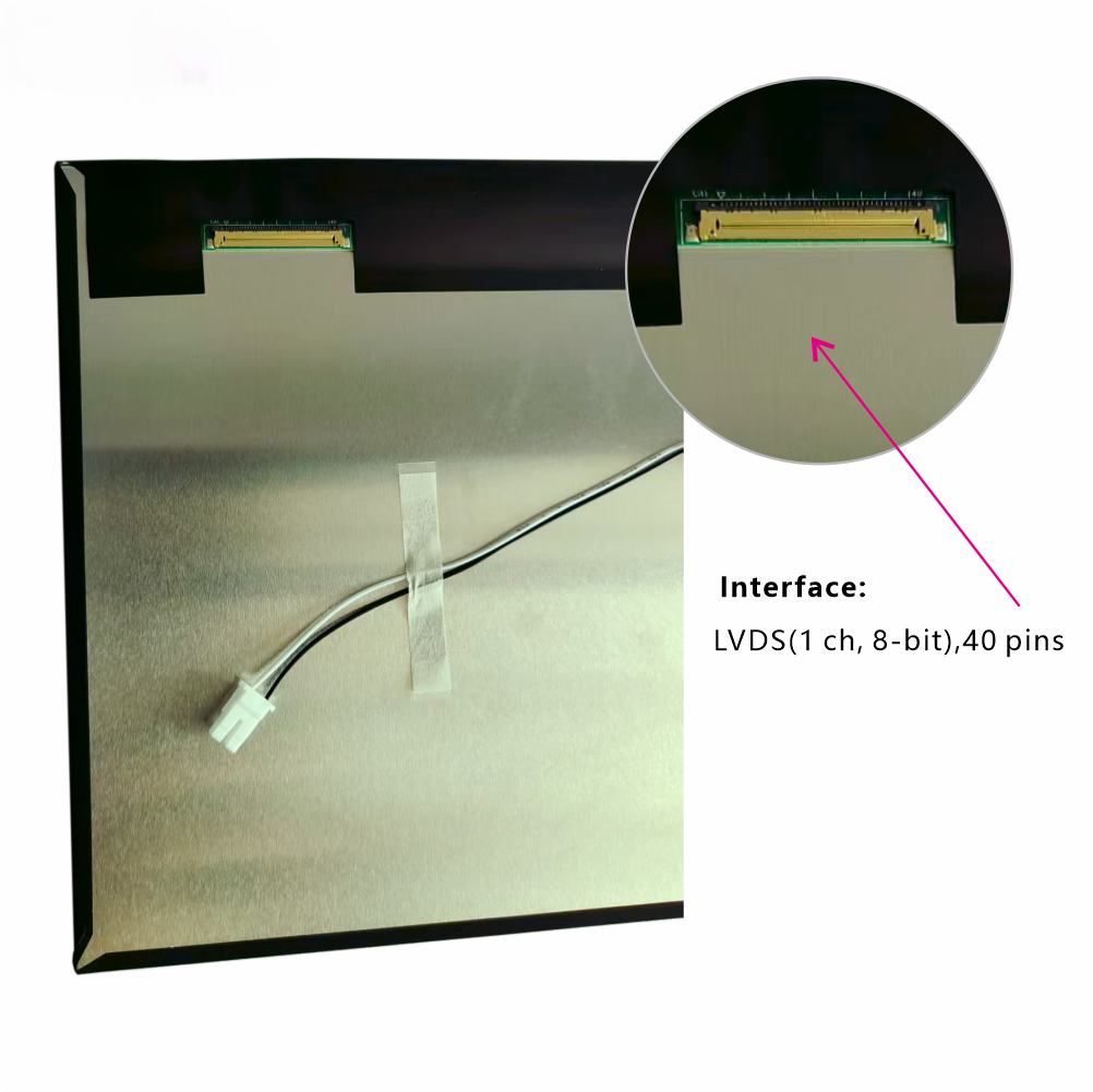10.1-Inch Widescreen TFT Display with 1280×800 Resolution and 1000cd/m² High