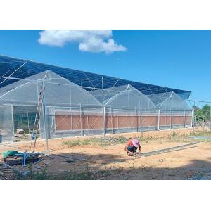 Easy-Assembly Galvanized Poly Multi-Tunnel Green House With Heavy-Duty Plastic