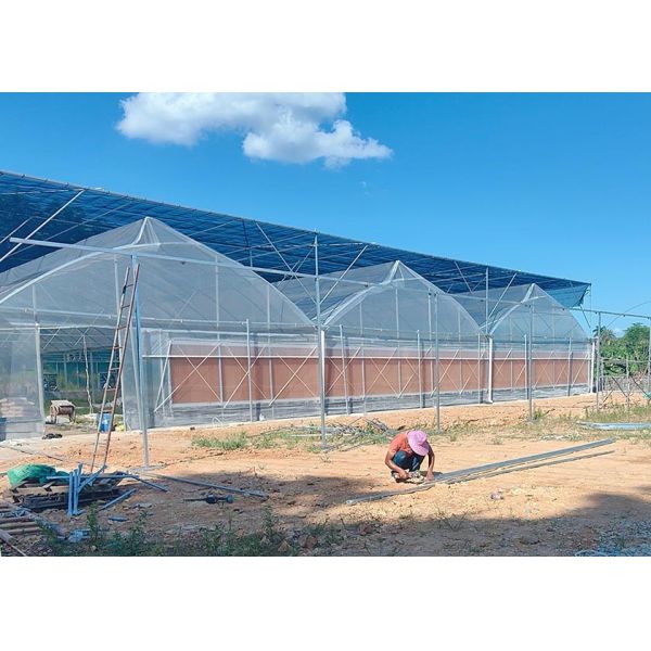 Quality Easy-Assembly Galvanized Poly Multi-Tunnel Green House With Heavy-Duty Plastic Cover wholesale