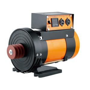5.0KW Double Bearing High Output Alternator With AVR Voltage Regulator