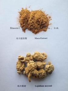 Cheap Maca Extract  10:1 TLC Brown powder  Cistanche tubulosa Extract Epimedium Breviconum P.E. enhance energy for sale