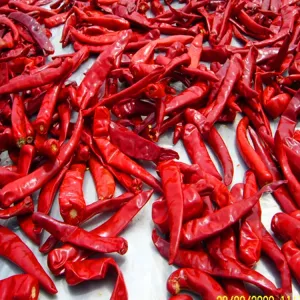 Cheap 10kg Unit Weight Chilli With Moisture Content Of 12%Max for sale