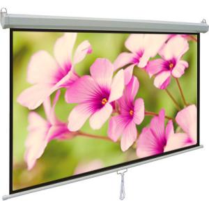 Light weight Manual wall mount projection screens 60 x 60 With Auto-locking