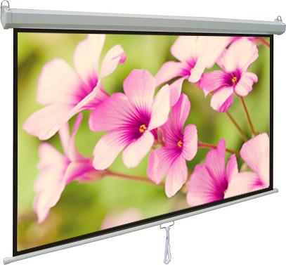 Quality Light weight  Manual wall mount projection screens 60 x 60 With Auto-locking System wholesale