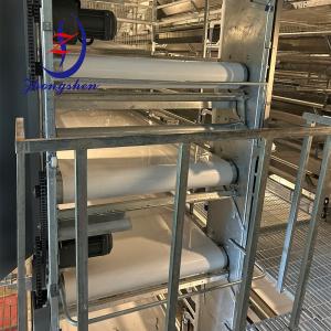 Chicken Farming Manure Removal Poultry Manure Conveyor Belt