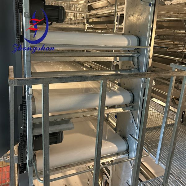 Quality Chicken Farming Manure Removal Poultry Manure Conveyor Belt wholesale