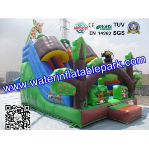 Custom Animal Inflatable Slide / Inflatable Dry Slide with Fire Resistant