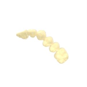 Durable Biocompatible 3d Resin Alike Temporary Crown Bridge Resin