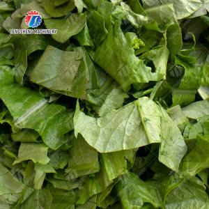 Vegetable cutter conveyor belt can be removed Potatoes and round tuber crops