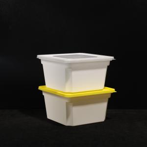 Multi Purpose Food Lunch Box With PP Material in Customizable Colors