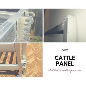 Heavy Duty Cattle Corral Panels For Sale Direct Portable Cattle Panels