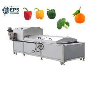 Cheap Spinach Vegetable Cleaner Ozone Bubbles Fruit Washer Machine for Fruit and Vegetables for sale