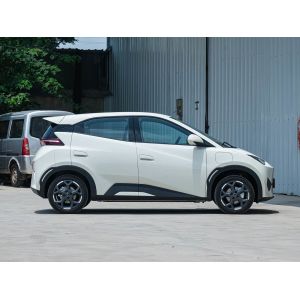 BYD Compact Car with 4.95m Minimum Turning Radius Popular Used Cars with Pure