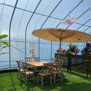 Multi-Span Sunlight Greenhouse The Ultimate Choice for Hydroponic Vegetable