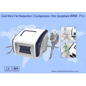 12V Cool Mini Fat Reduction Cryolipolysis Slimming Machine