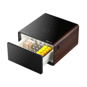 PRIMST 2024 Mini Refrigerator Coffee Table The Ultimate Smart Furniture for Your