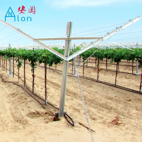 Popular Galvanized Metal Open Gable Trellis System 1460mm 1120mm Length