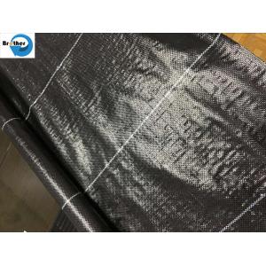 Weedmat /Weed Control Fabric /PP Woven Ground Cover /Ground Cover Fabric with UV