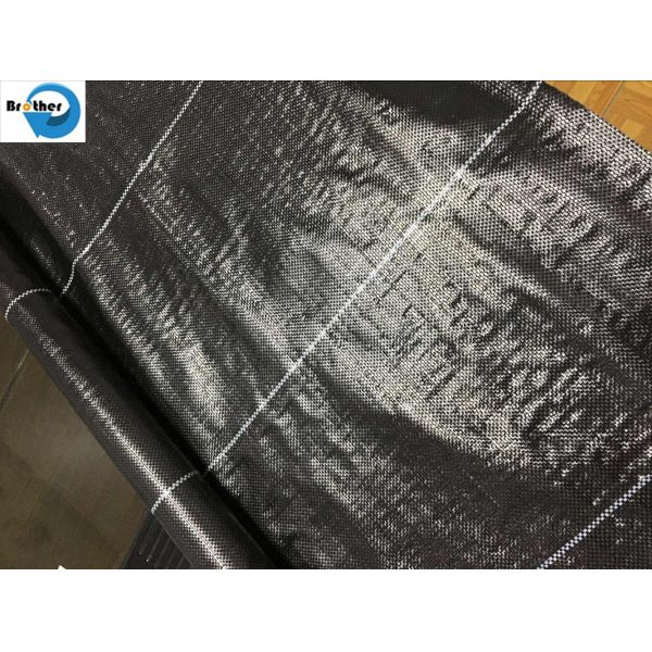 Quality Weedmat /Weed Control Fabric /PP Woven Ground Cover /Ground Cover Fabric with UV wholesale