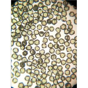 Fine Lab Synthetic Diamond , FSD Series Gem Quality Synthetic Diamonds