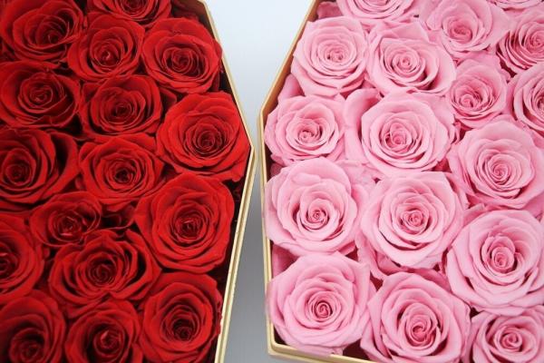 Factory wholesale real touch high quality multi color natural preserved roses at cheap price Christmas gift