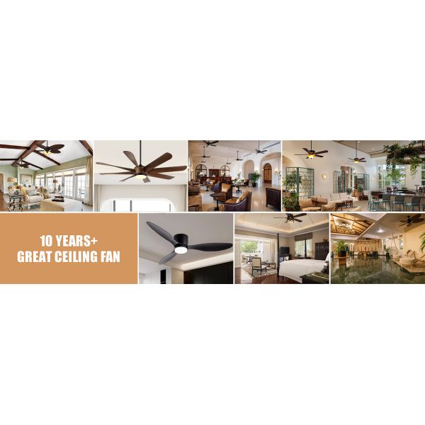 High Quality 3 Blades Ceiling Fan Without Light Attractive Silver Five Wind Speed for Hotel Living Room