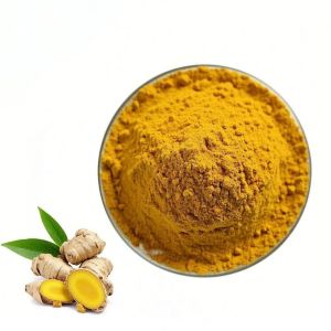 Wholesale Customization Inclusion Compound of Curcumin Factory Direct Sales