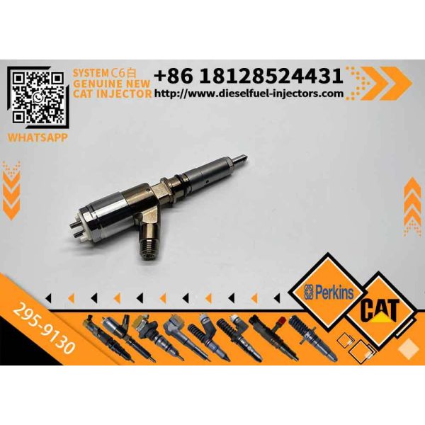 Engine Injectors 3264700 Cat 320d Fuel Injector 295-9130 317-2300 for Caterpilla