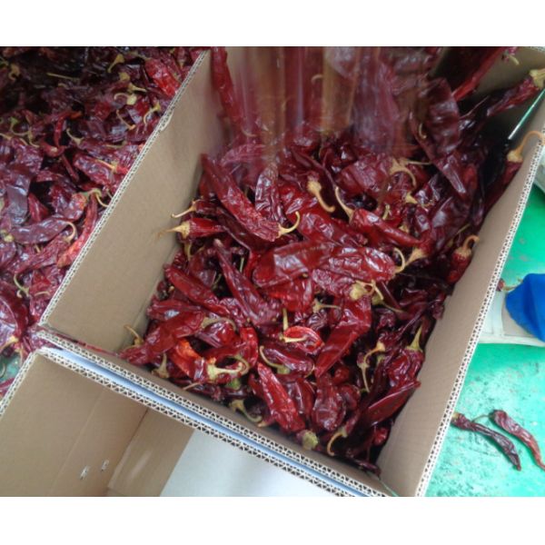 Organic Mild Red Chili Powder with 0-100 SHU Heat Level and 100 Grams Netweight for Chinese Cuisine