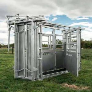 Customized Galvanized Steel Heave Duty Cattle Crush Easy Assembly