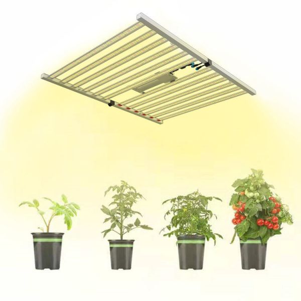 Quality ETL 600W 720W 800W Full Spectrum LED Grow Light 2.8 µMol/S/W wholesale