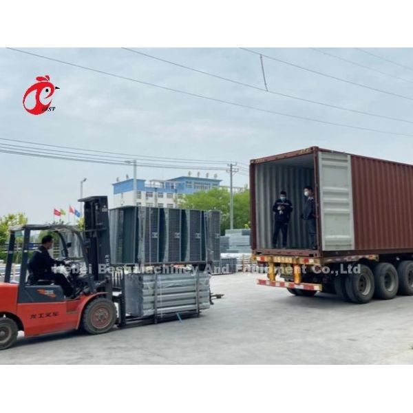 Customized Galvanized Steel A Type Poultry Layer Cage For Point Of Lay Sandy