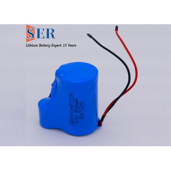 Quality New Hybrid Pulse Capacitor battery Lithium Supercapacitor Battery Pack ER14505+1520 Li-socl2 Battery 3.6V Lisocl2 batter wholesale