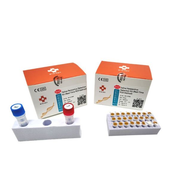 Lep Feline Cat Test Kit DNA Polymerase Feline Leptospira Test Kit PCR Amplificat