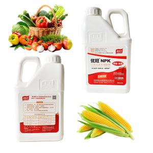 Cheap Shiny Compound Water Soluble Fertilizers NPK 100% for sale