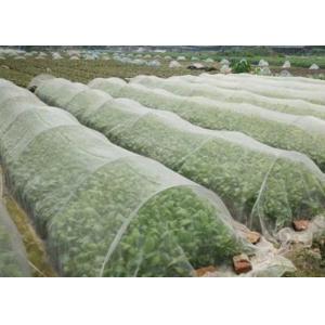 50X35 Plastic Wire Mesh 100g/M2 Anti Insect Net For Greenhouse