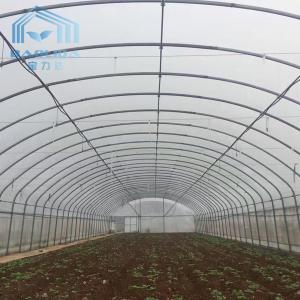 China Farming Singlespan Tunnel Greenhouse With Irrigation And Hydroponic Growing System on sale