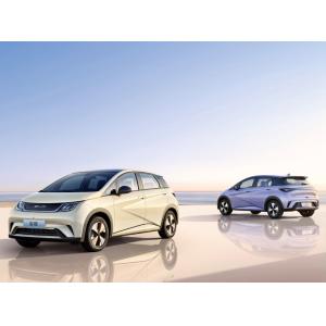 Hot Selling New Version Automatic High Speed BYD Whale Pure New Energy Electric