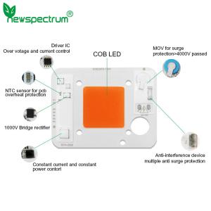 3000lm COB LED Module COB Chip 50Watt 6000K For Commercial Lighting Solutions